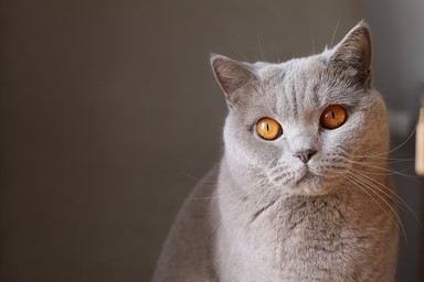 138