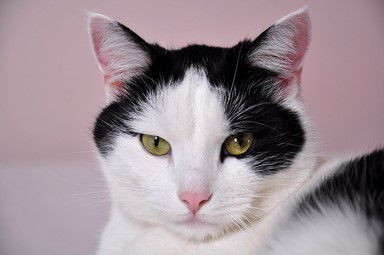 143