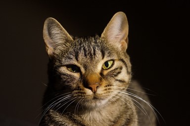 147