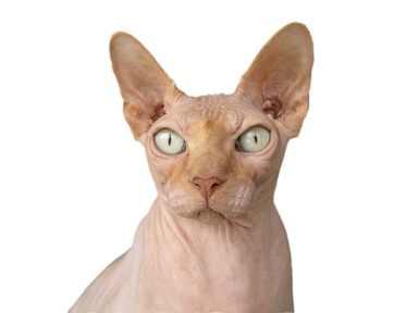 180