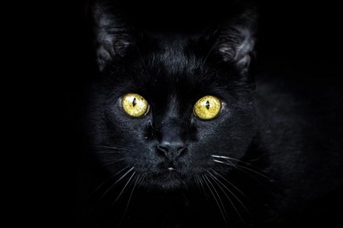 197