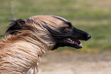 193