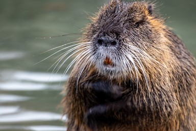 134
