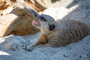 157