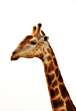 178